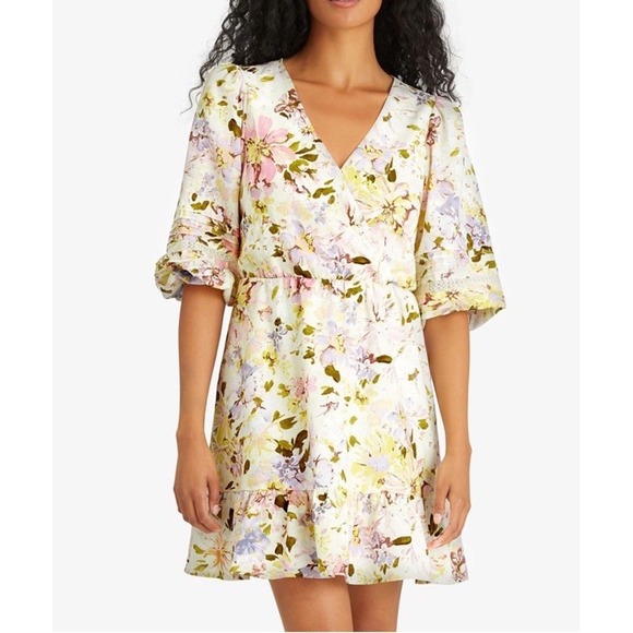 Sanctuary Picture Perfect Dress‎ Size 10 Richmond Gardens Linen Blend Lined NWT - Picture 1 of 10